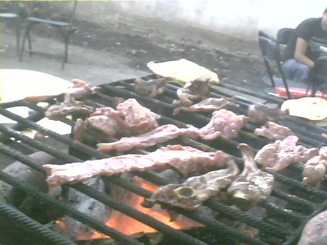 QUESQUE CARNE DE COYOTE?